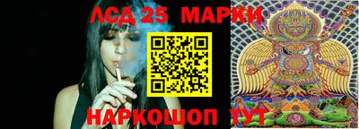 mdpv Вязники